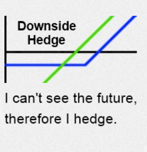 Downside Hedge